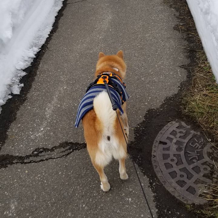 5d30aa72 2434 454e b47b 57c57c4758ed 1581481952647