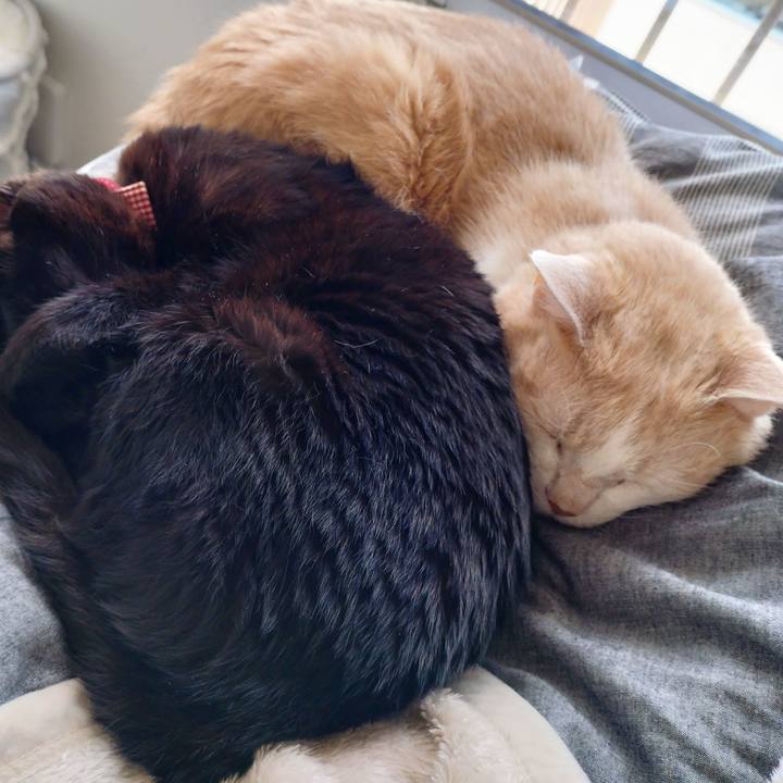 5d30aeba ce67 4921 8963 2ebb46a4b955 1712893484761