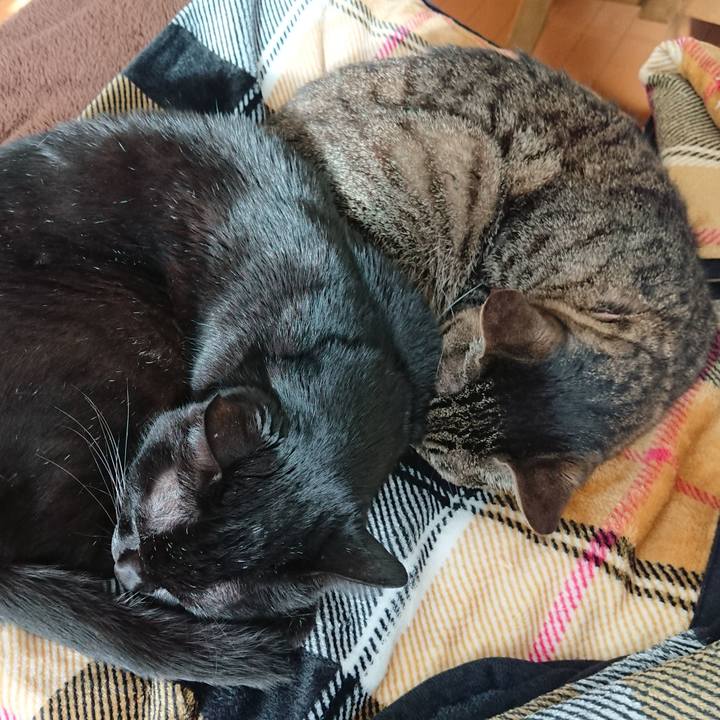 5d30e29b 4119 4713 811c 19a87e5d6c9f 1609857427211