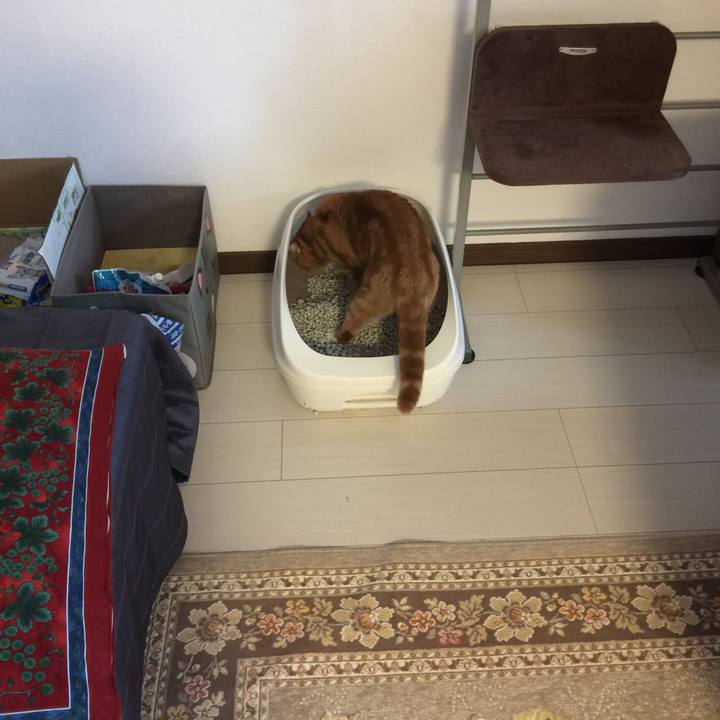 5d314aef 69a7 4fdf 8ba2 3b1bea7e162b 1528238049843