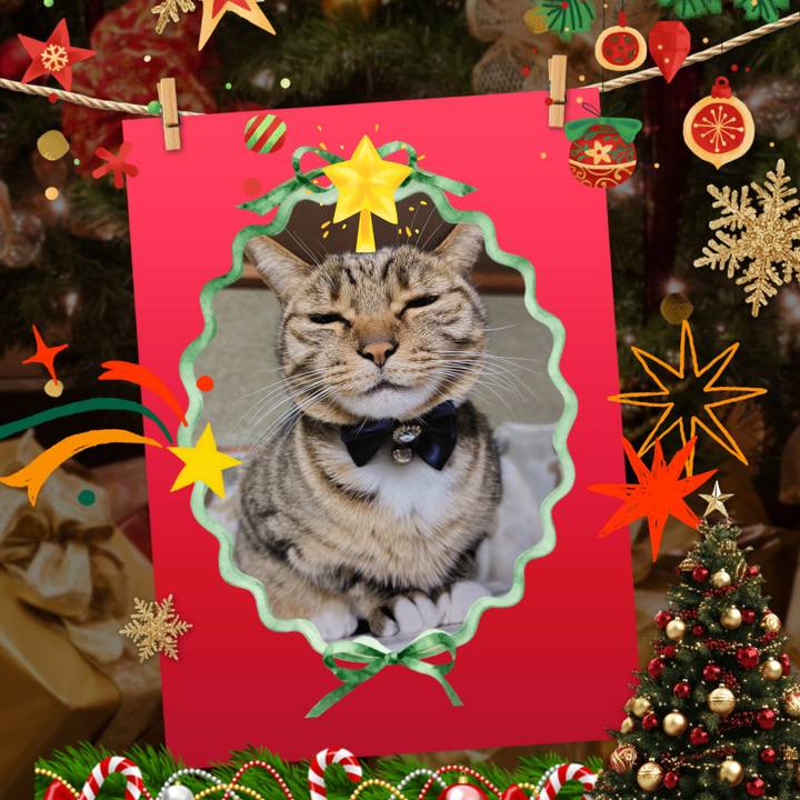 5d316def 408a 4aa1 8790 9f5bc27e60a5 1766618281917