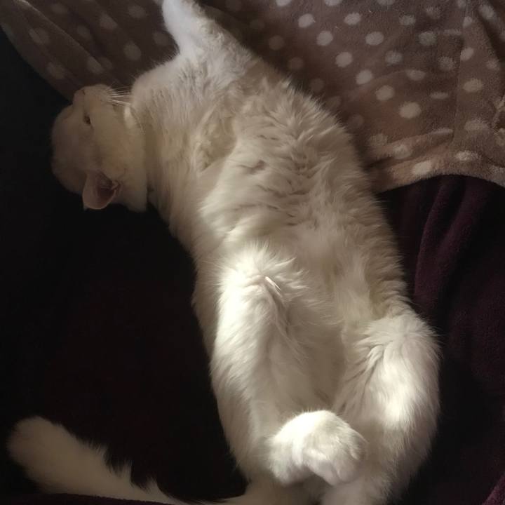 5d316f4d f212 4cc5 895a 5955f8149390 1511218828303