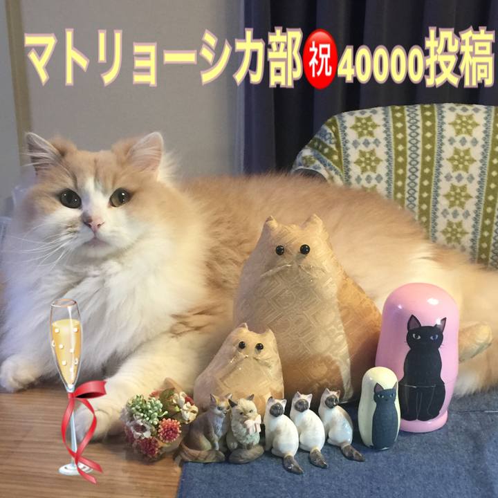 5d319fc6 7246 470c 9940 4f706492417f 1555594606579