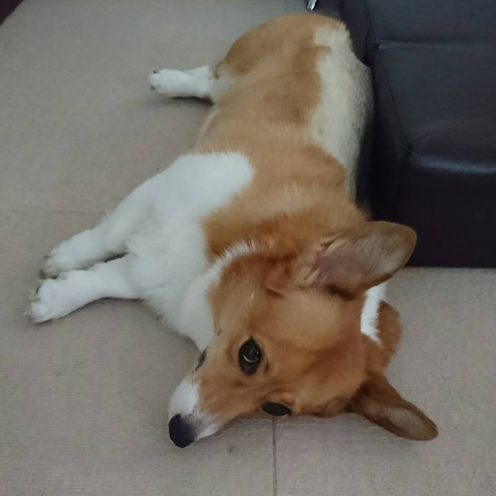 5d31e673 aad7 405f 9458 7e78efd2b463 1533189545834