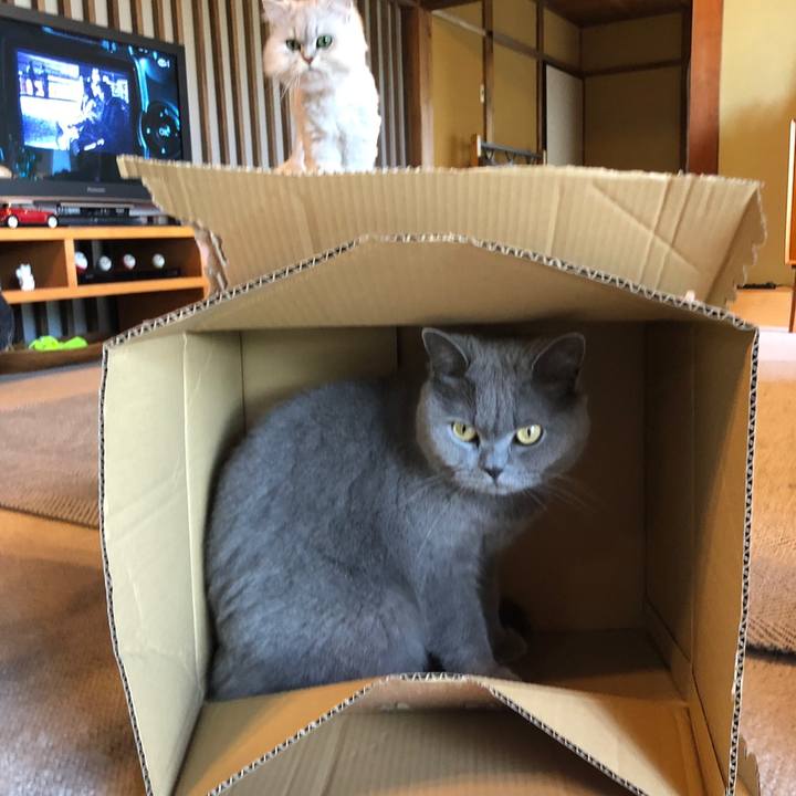 5d31ebaf 8016 4413 a89f 055ae71e7308 1558744942283