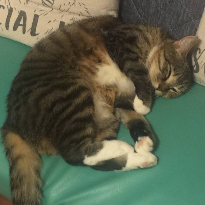 5d323aaf 42fb 4609 8624 f18700dec536 1570273651614