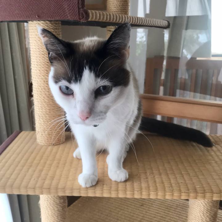 5d326458 8cca 41f7 8e5a e472d01489c9 1620196469660