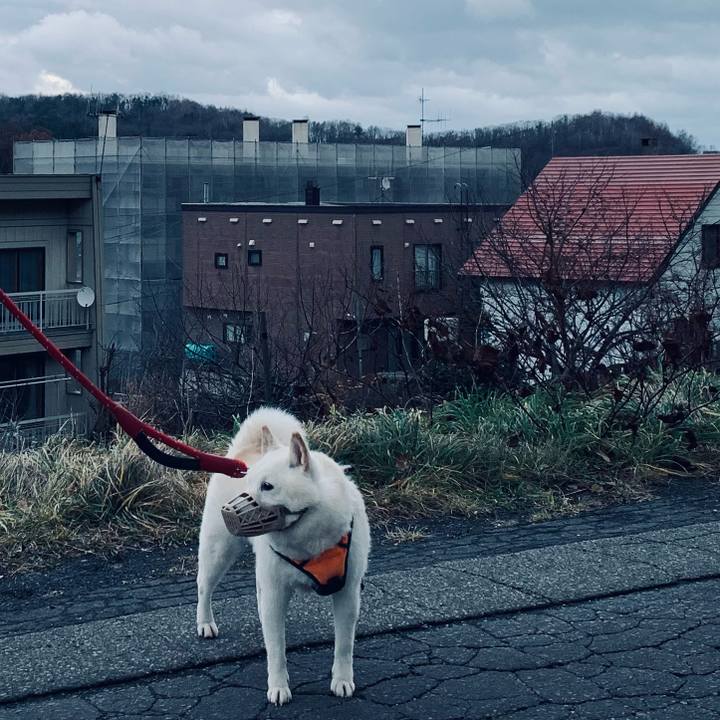 5d3269d1 a40b 4807 bfa8 4586036f3418 1669095146564