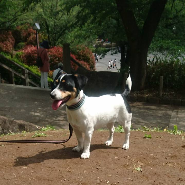 5d327109 5b24 4072 be08 a2553e853b66 1556950498187