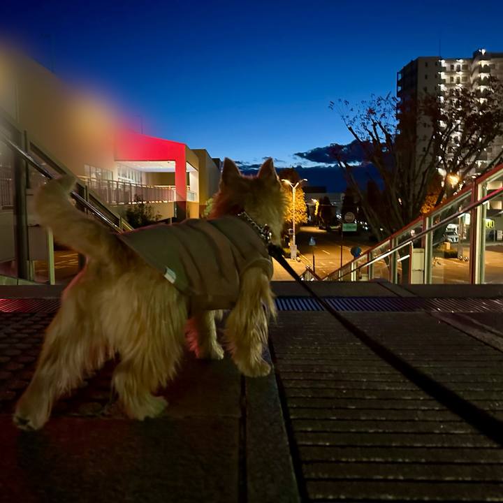 5d32a0e2 1079 437d b2ee 75cfcb6026ea 1733904469778