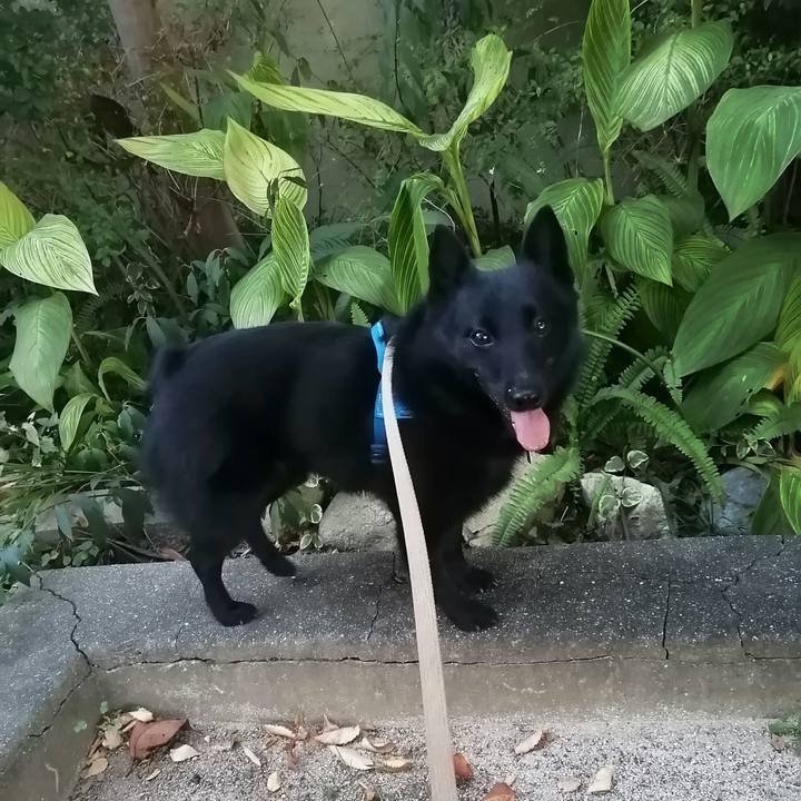 5d32a9f8 2164 4af9 9e65 e434da3845f8 1633249916785