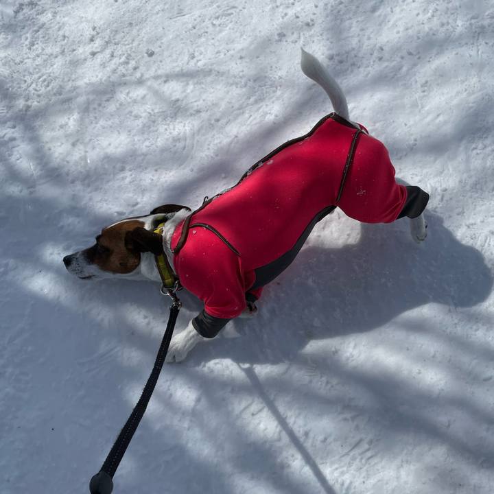 5d32b17a b0e3 45b7 9f37 bd381672d263 1645938141477