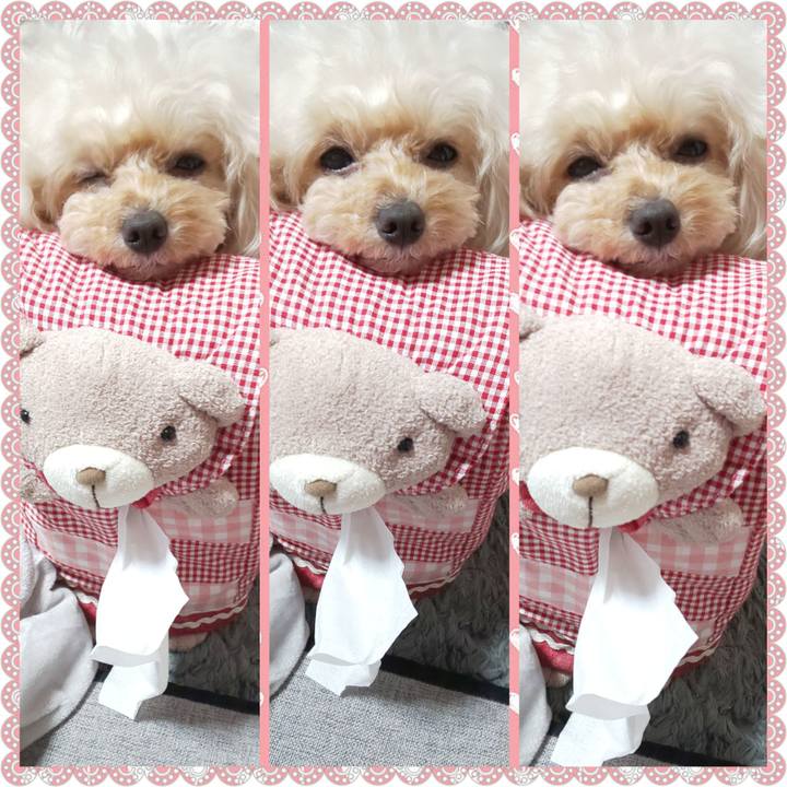 5d32c5f2 57ce 438d 93c8 f816a794b0b2 1636619438848