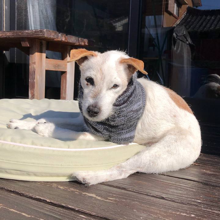 5d32ed98 7b9a 499b 834f c67475678492 1648097238097