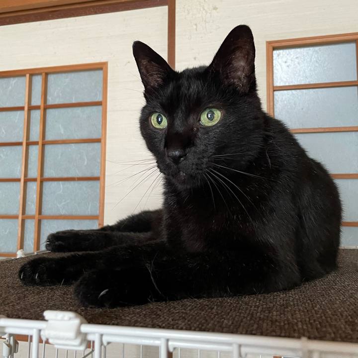 5d32fa02 35b2 4643 9ea1 dfa99d551f25 1625969420179