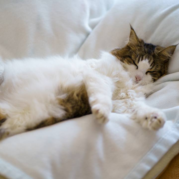 5d3318ab fd51 4bcd bbb1 a791bf387dfa 1713165263227