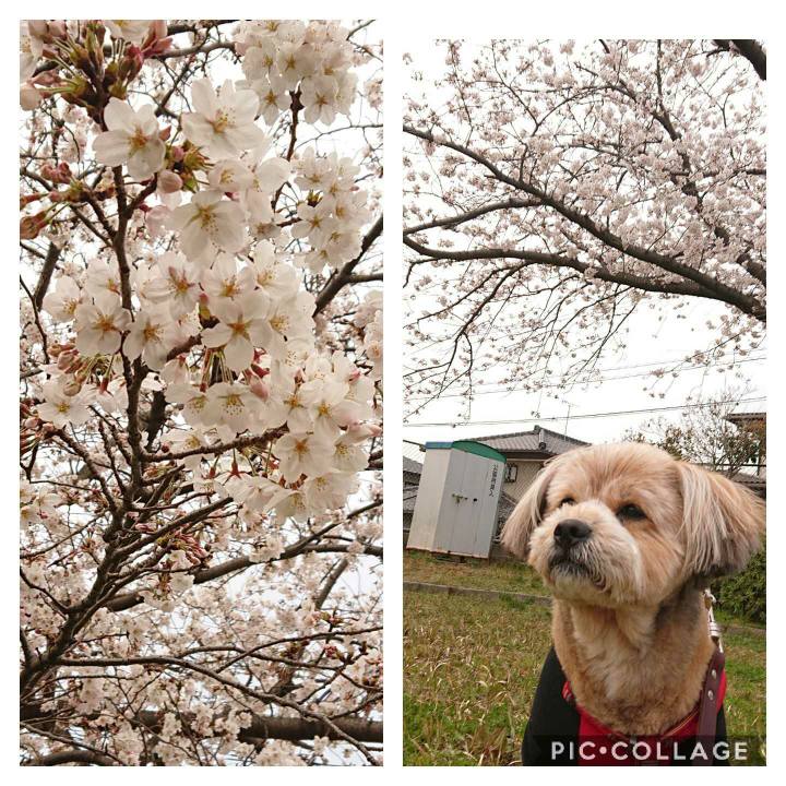 5d332798 085e 4e39 bc39 00e85a309b80 1616583725054