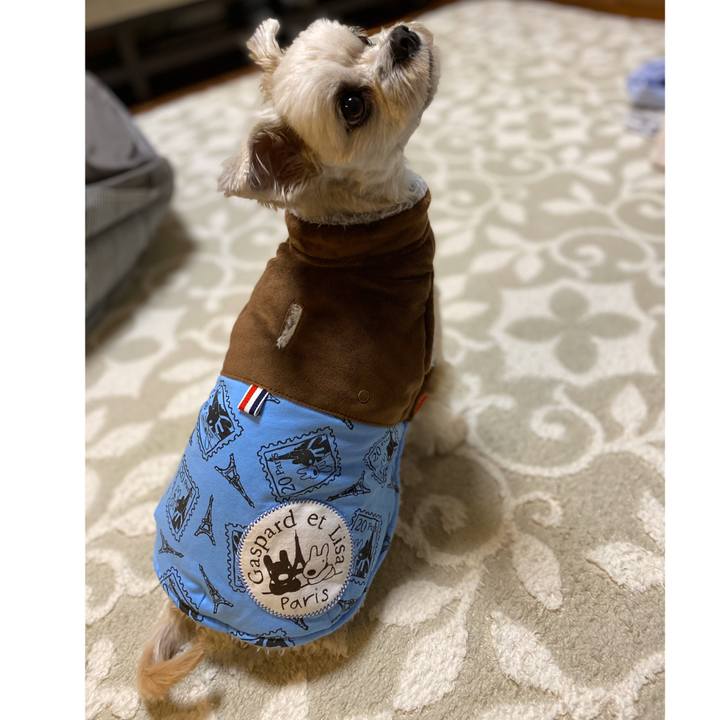 5d3331d2 59fb 495b b4fd b13da7d68c1e 1575620849768