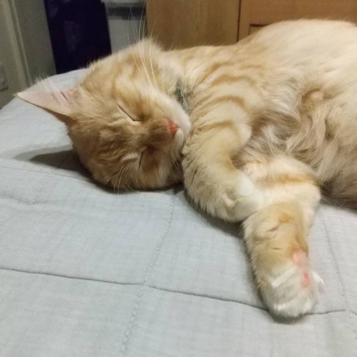 5d3333c7 6545 4418 b1ce 0ed3764939a5 1632309860654