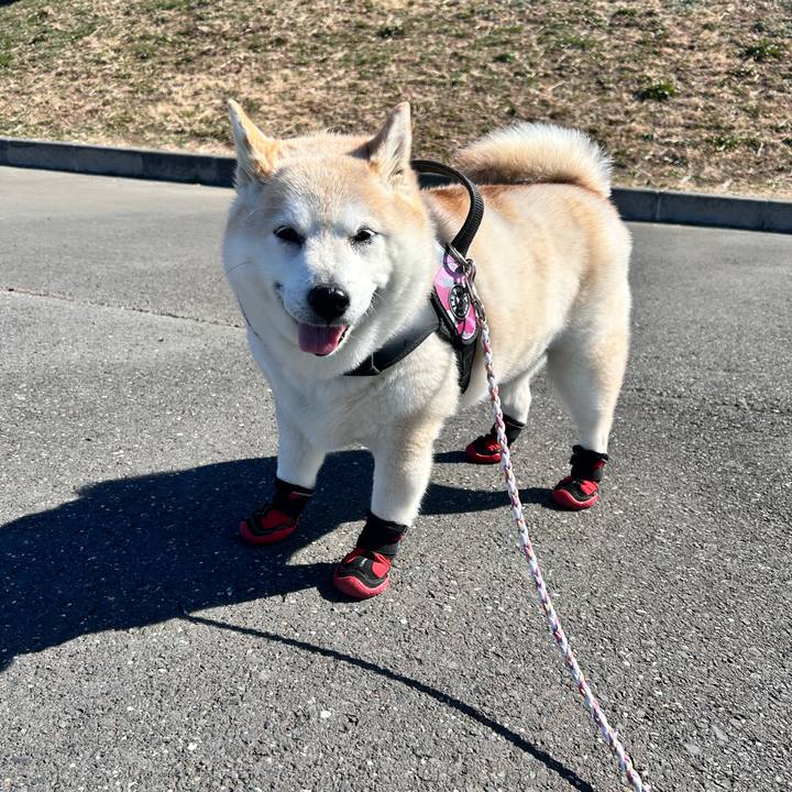 5d337b7c 7763 46db 9281 763dc9a32897 1740112620895