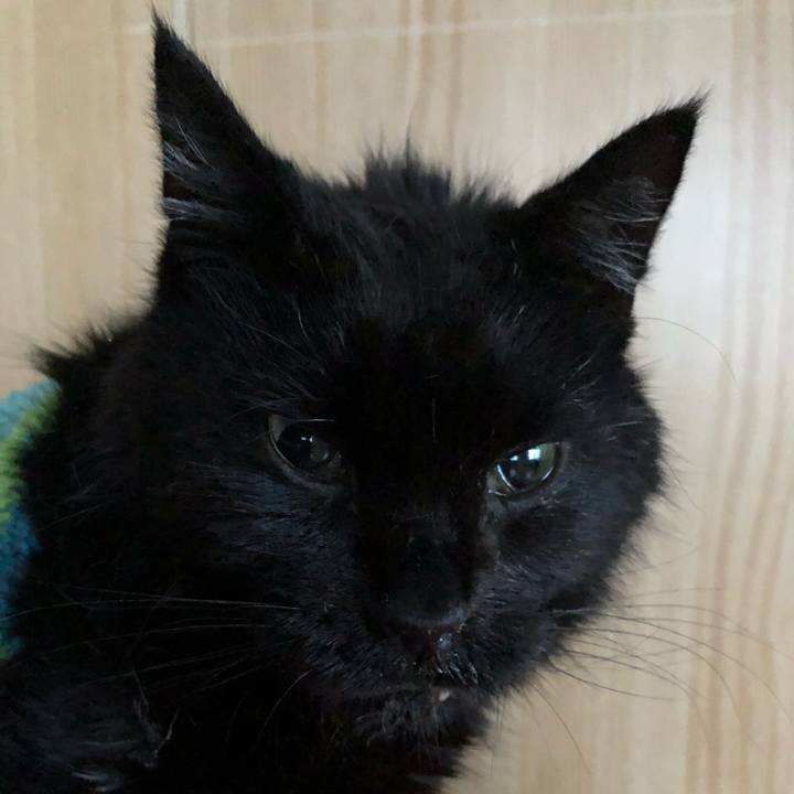 5d3386e9 fc63 44a4 a4e2 55df6939b366 1647292895781