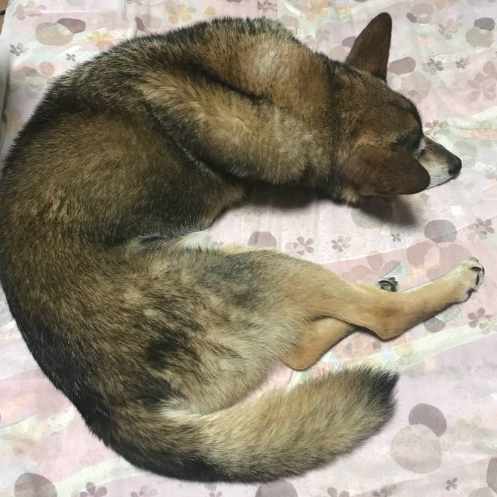 5d339aa2 5f43 482e bef8 189472027d6e 1531576952345