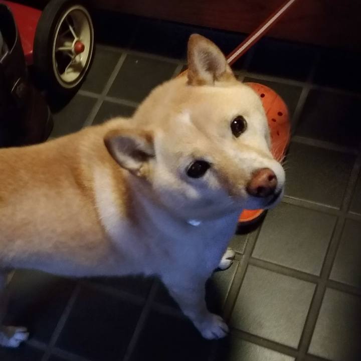 5d33ab0c 00f6 4bd3 a85b 604c6a9fc526 1608590532407