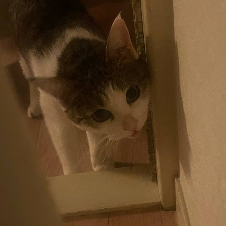 5d33ae9f 0481 4b8d b512 662db112eeee 1632215850269