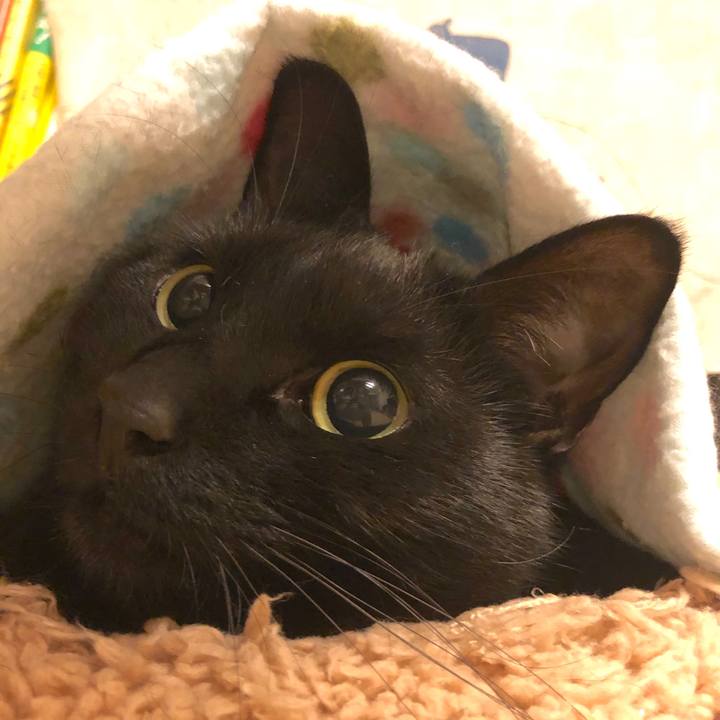 5d33b4bf ee3f 4e3d a837 21cab443f7ee 1518523596799