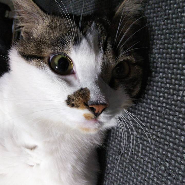 5d33b55e 1c42 4b77 a5d8 e8a8d3dcc2c3 1650712024179