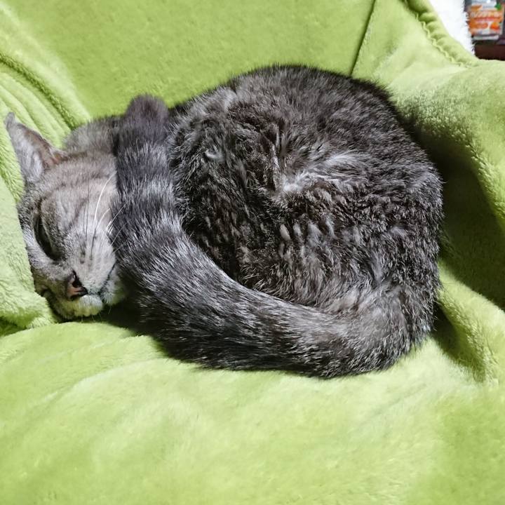 5d33d001 475d 476e a02f bbbf2b1cf726 1583318001451