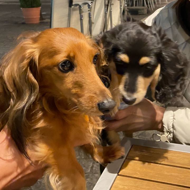 5d341986 a0b7 4ad5 8fbb 06795f29e347 1667695236803