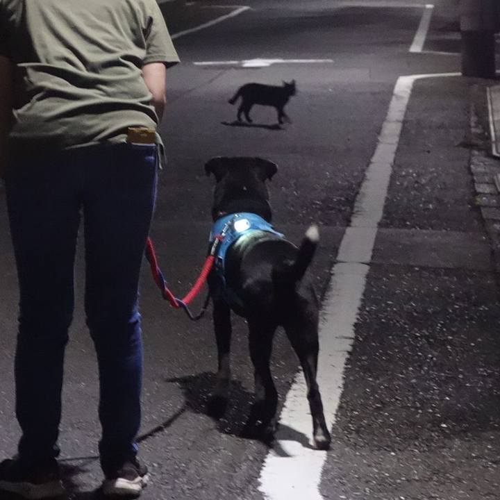 5d341eb0 5cec 416c 8c38 dda2358a208e 1631183447334