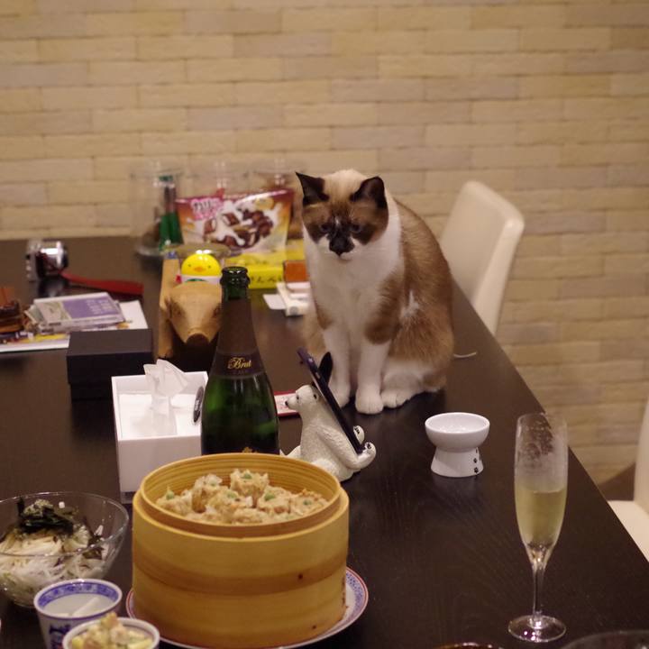 5d344a01 2589 4a7c 9899 a58b372d085c 1543753575068