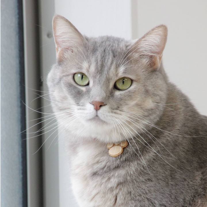 5d34656e 3792 4f9b 9d3a 7660f4c7b27e 1602041377054