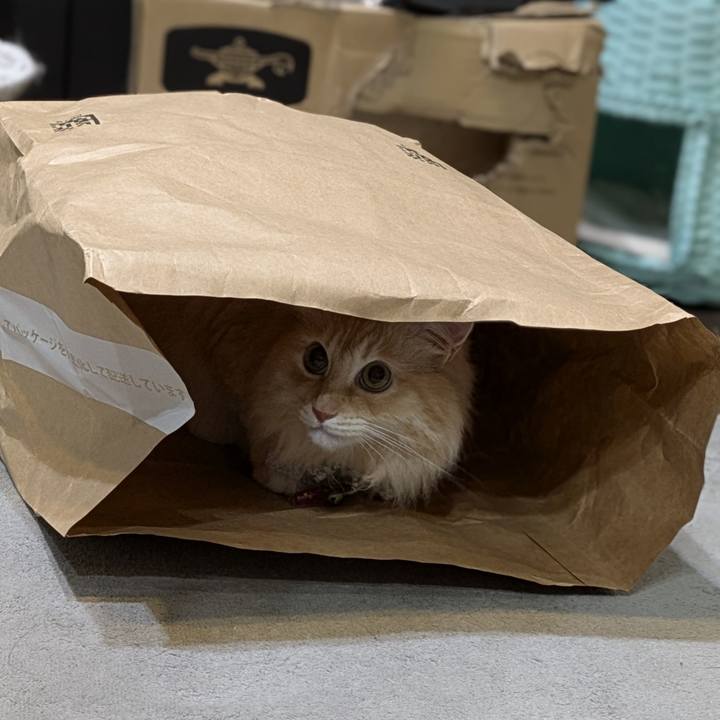 5d34a04b b4df 4088 ade5 6a5edcb36625 1757503982335