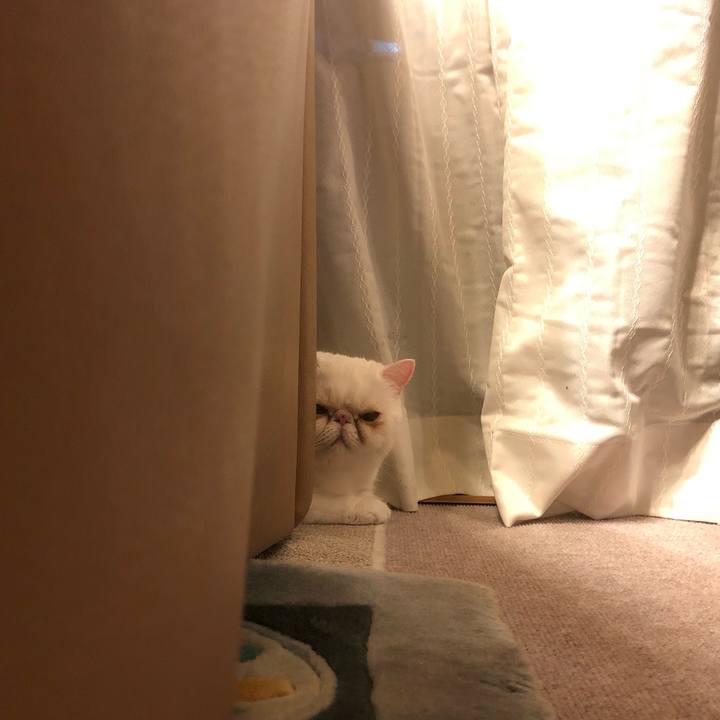 5d34a53a be4c 4ec7 a838 7df9aea9f681 1631709225029