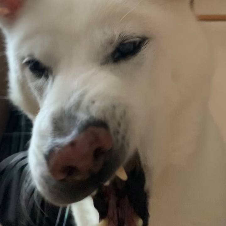 5d34c4ca 2f8a 43ab 9e12 9e6a42af6362 1573952562319