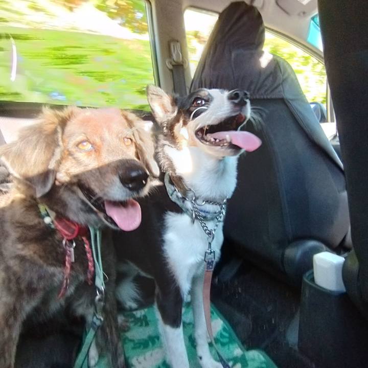 5d34c77f a081 4ef5 82de aeac3231cf8a 1695201132911