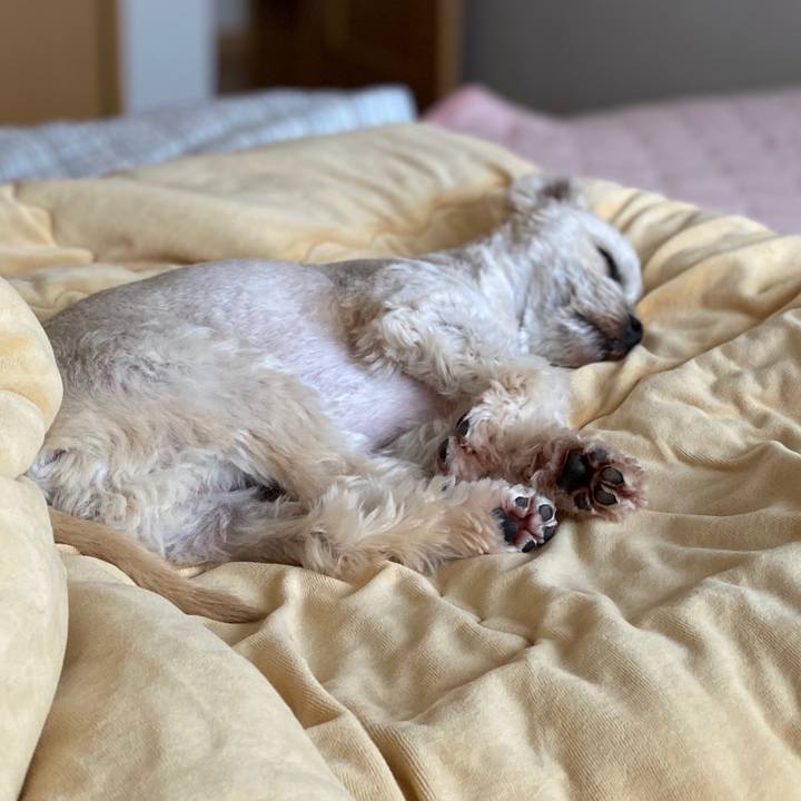 5d34df0e d755 4f5c a813 c716f6dd28ca 1595661032554