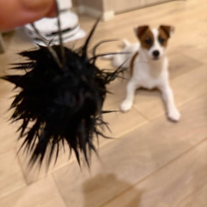 5d3506af fc2e 4cba 9051 545513a089aa 1751978711568