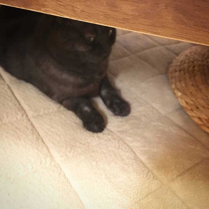 5d350ec9 147a 4f05 b533 c81d5e1863ee 1528370117406