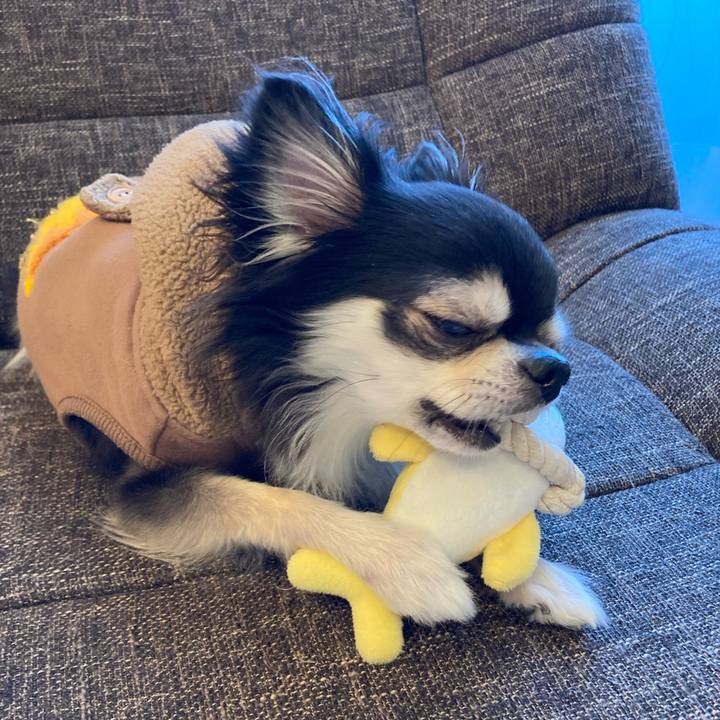 5d355904 ba9b 4b17 b39d 03b9d3b7e908 1706343860206