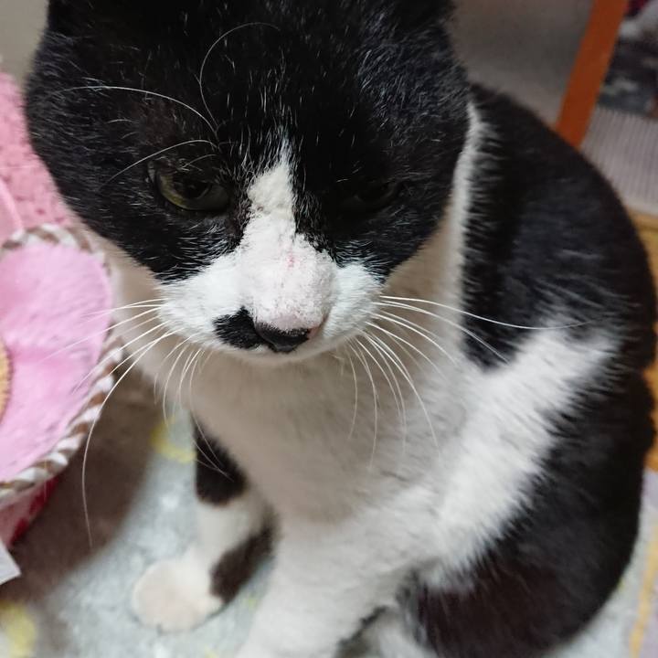 5d357078 e6ac 4717 996c 4dc7745e5bdf 1551238798899