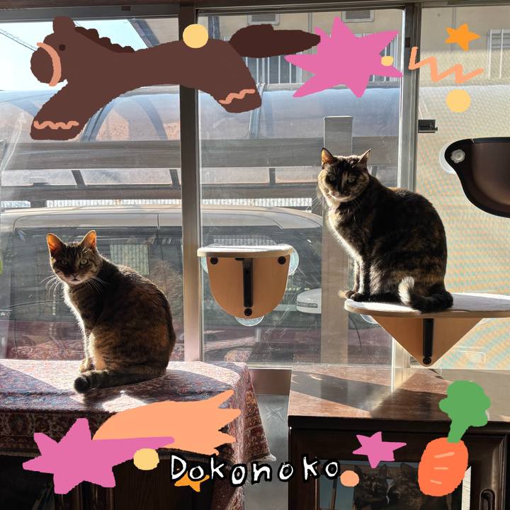 5d35784f b131 4fcb bb3d c23f03a8b55d 1772076082860