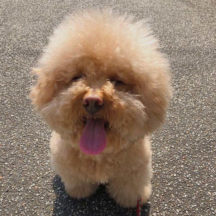 5d357a03 863c 42ab b321 bcefd91980c8 1525133228801