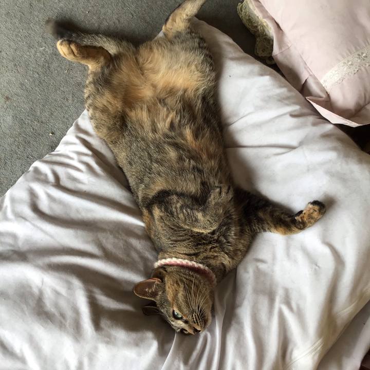 5d359146 d8b6 47e7 8d04 723e3afa8c9a 1658409516688