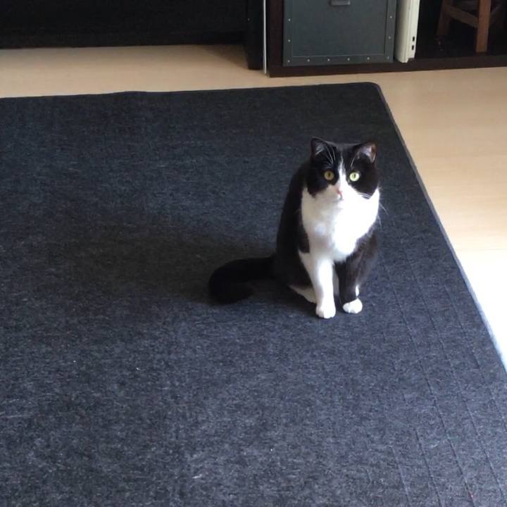 5d359a76 e997 492e 8422 ba52d4028294 1650156638799