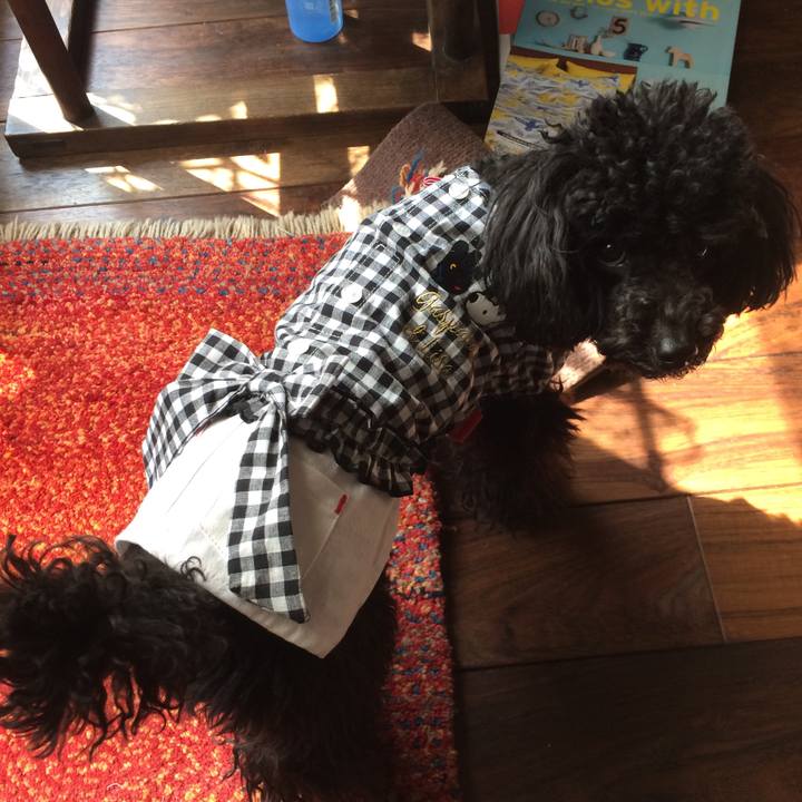 5d35b751 f6eb 49d5 ac47 65323c953c40 1522241689472