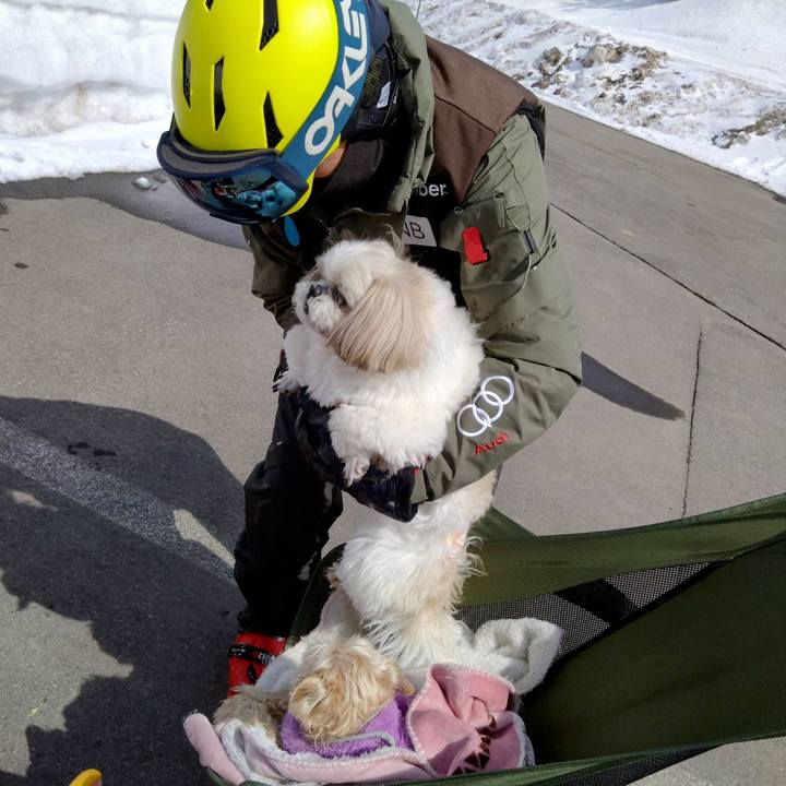 5d35be5d 0068 498a b090 000c20011734 1741424813572